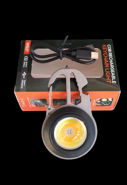 W5137 key chain Light
